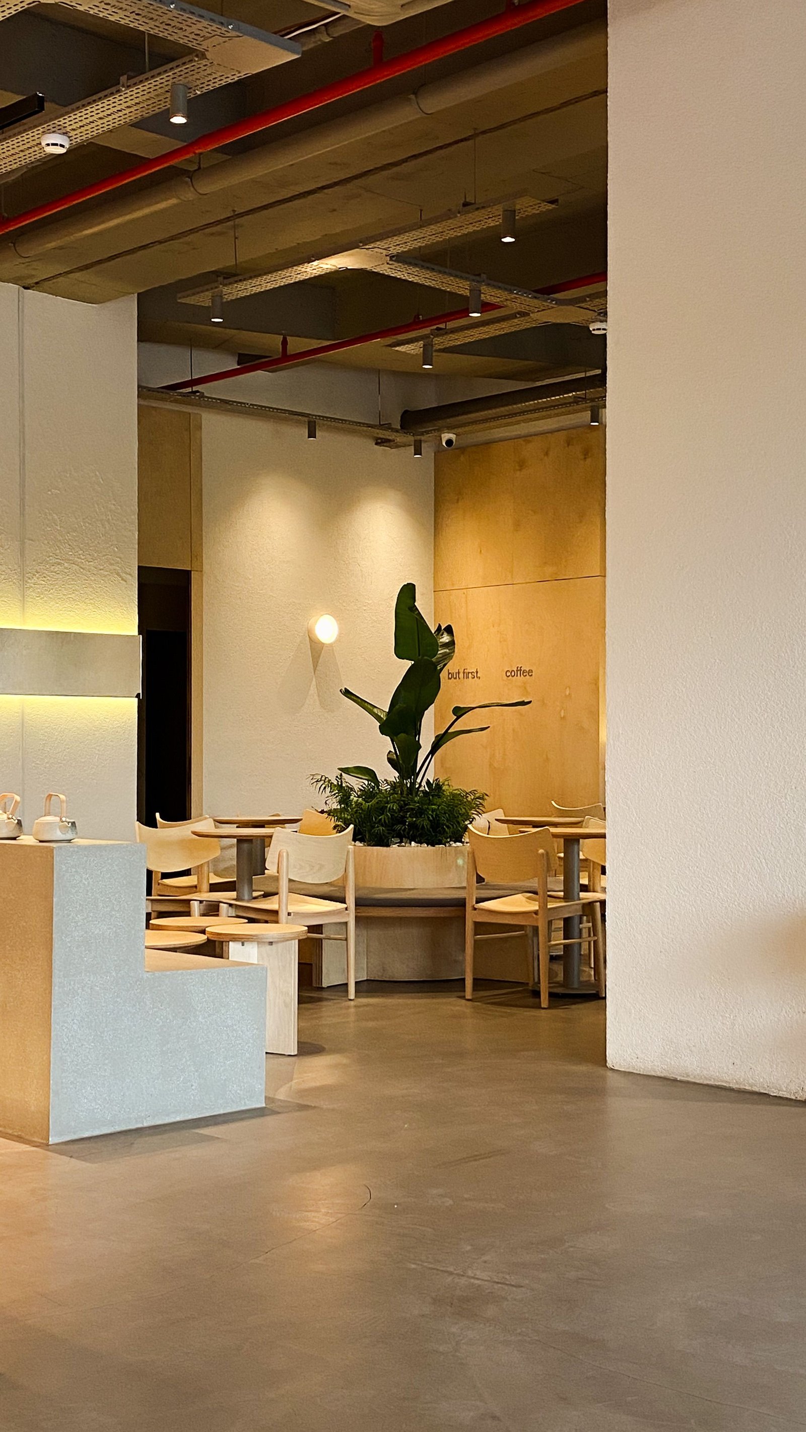 Modern minimalist commercial cafe interior with seating, plants and warm lighting