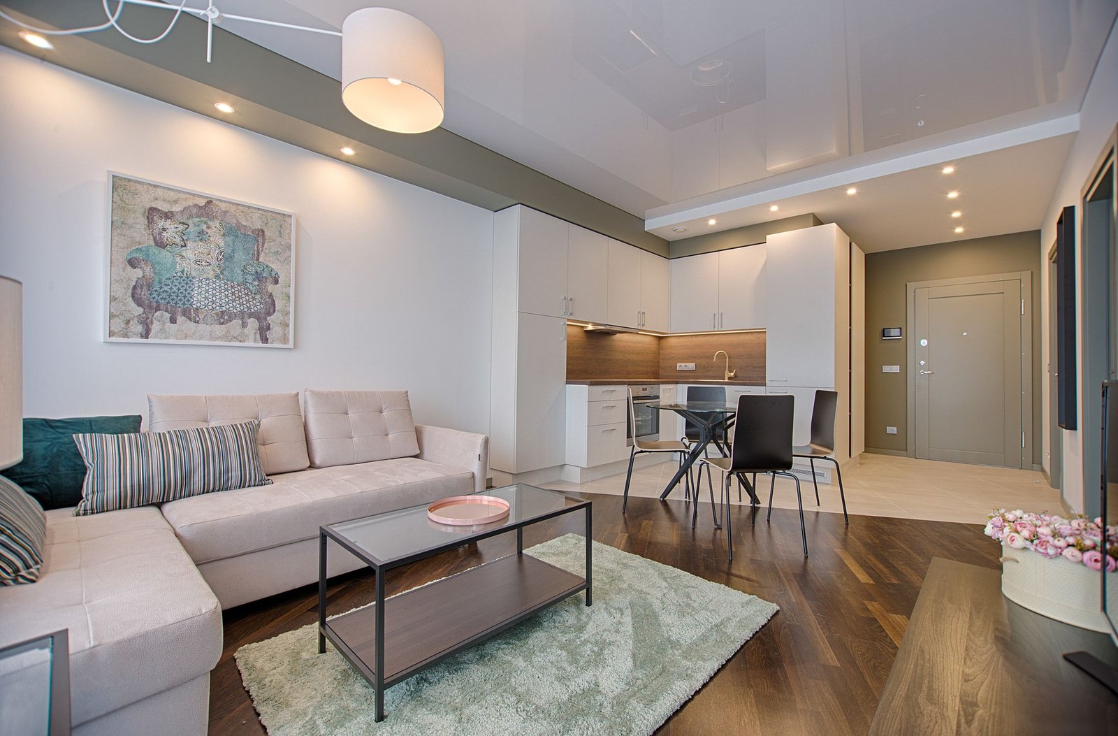 Modern European city apartment with open living room and compact kitchen